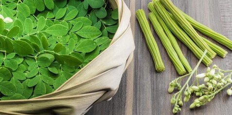 Benefits of Moringa
