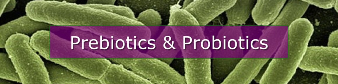Prebiotics and Probiotics Supplements